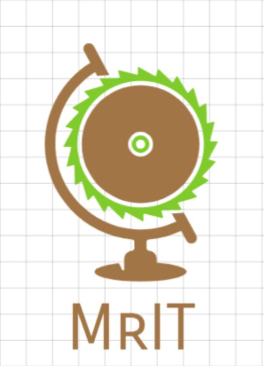 Mr. IT